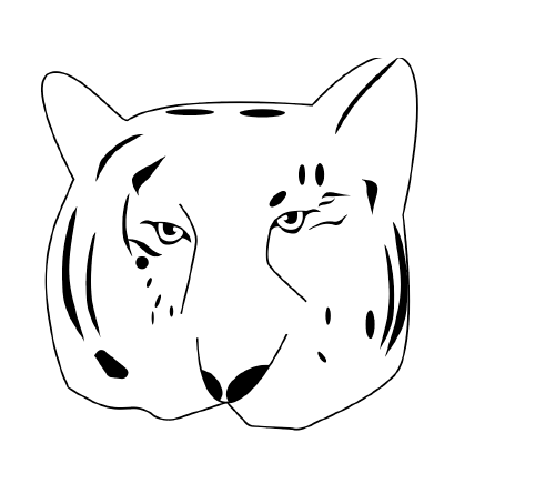 Sombra Tigre : création d’un logo et d’une identité visuelle image 2026 04 16 174216076